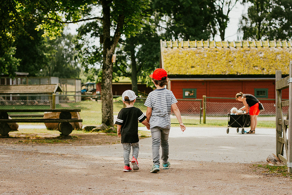 små pojkar som håller handen på äventyr i skånes djurpark