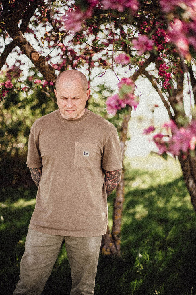 Vi hittade underbara träd med rosa blommor när vi letade fotoplatser.